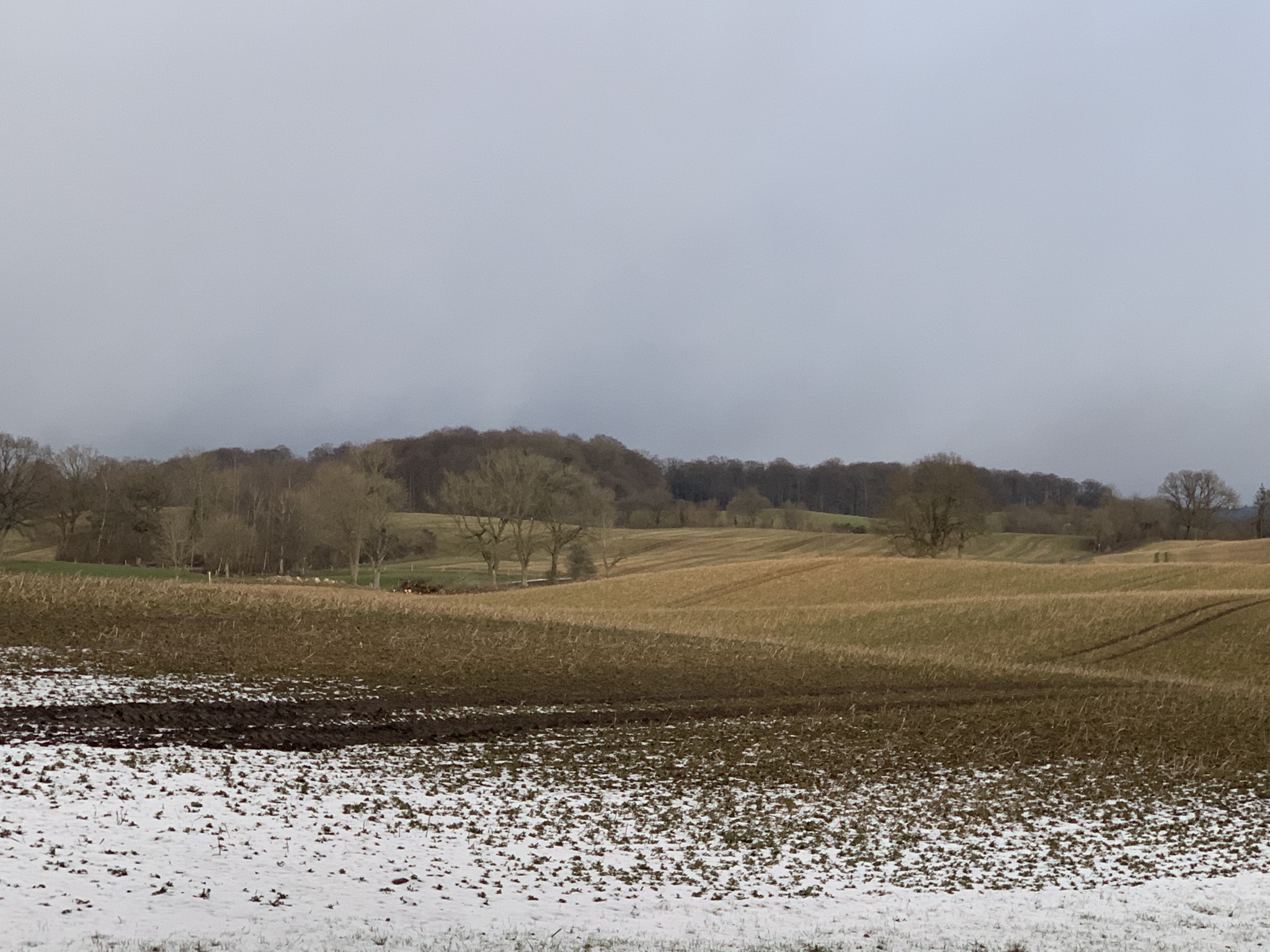 Winterpanorama Hügellandschaft Niedersachsen