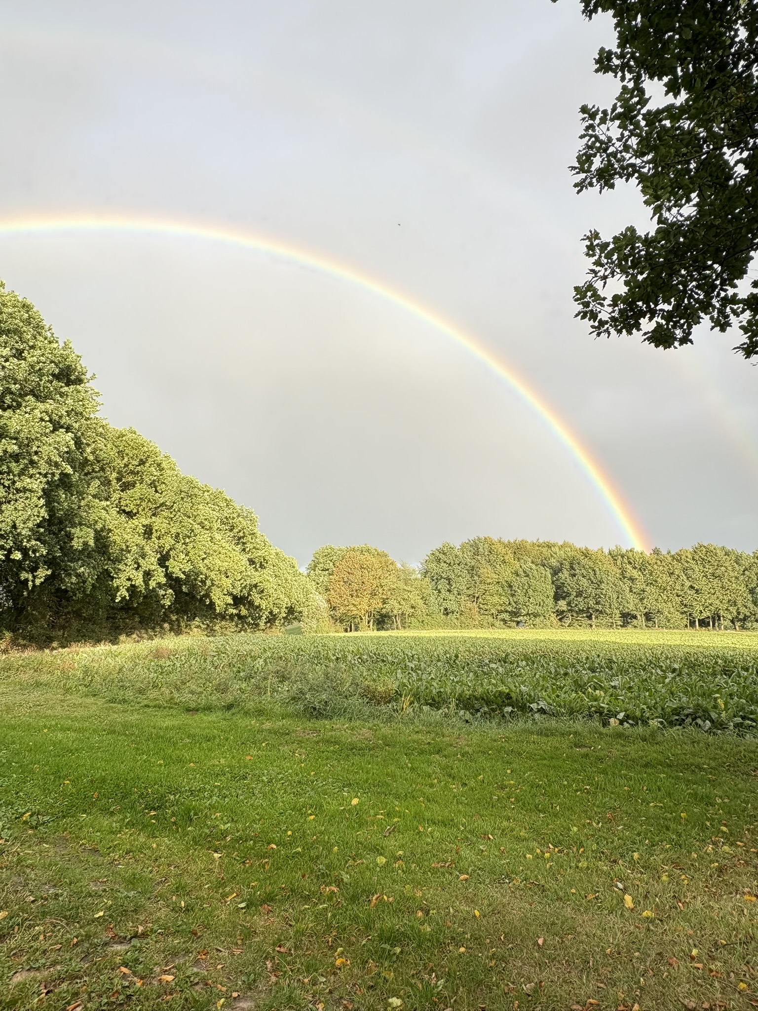 Doppelter Regenbogen über der Trainingswiese
