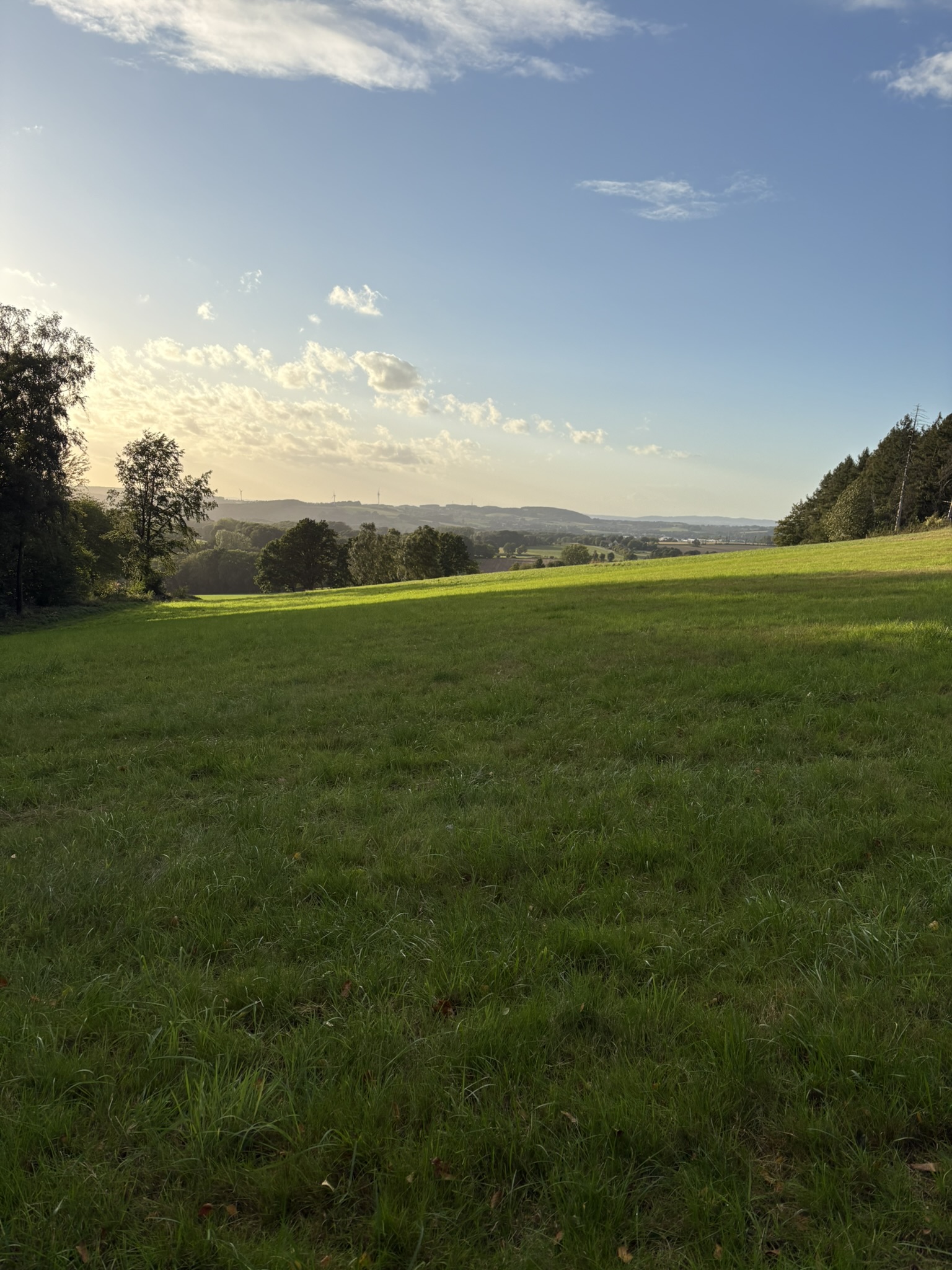 Abendpanorama Wiese Nordrhein-Westfalen
