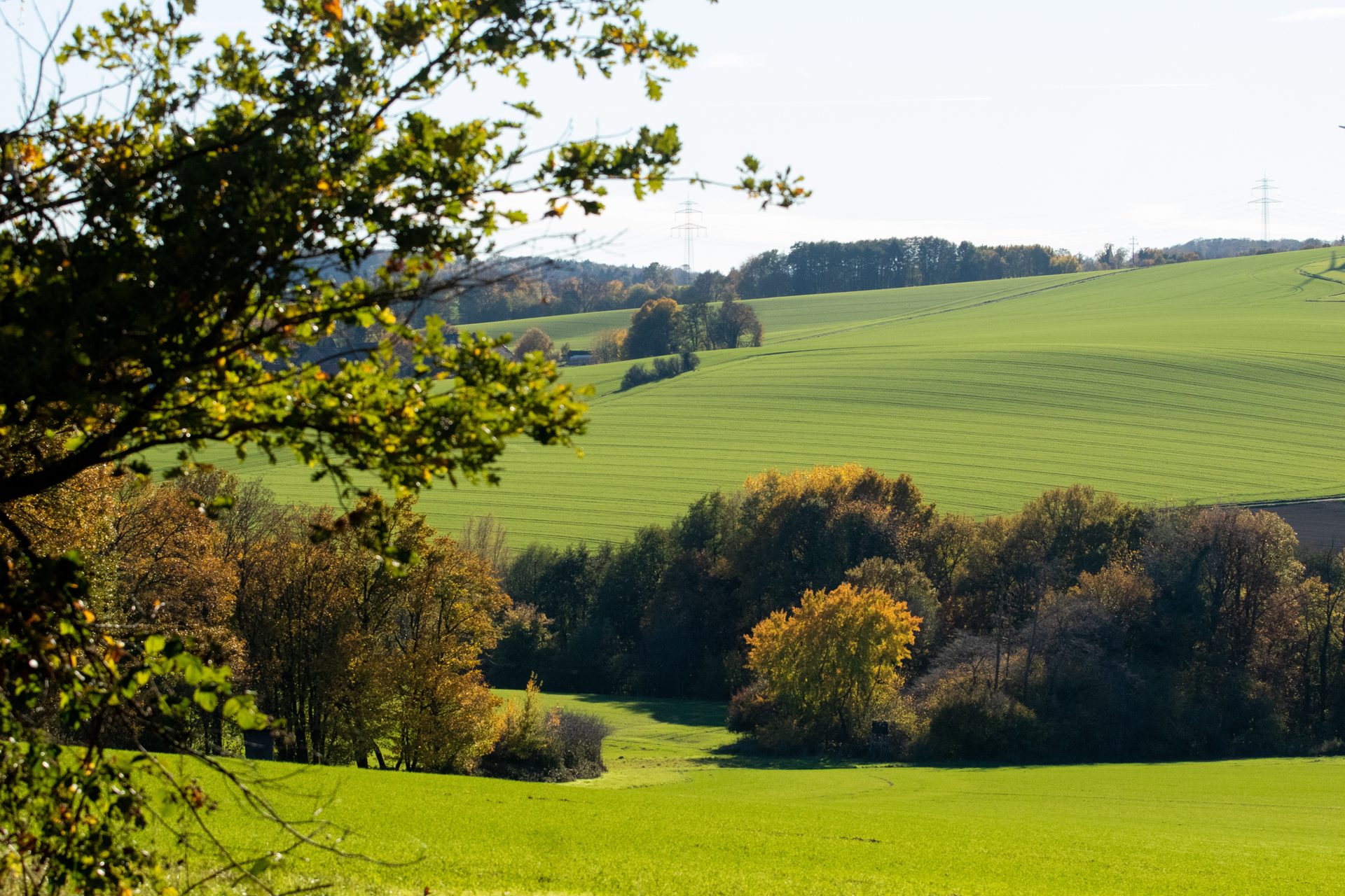 Herbstliche Hügellandschaft Nordrhein-Westfalen