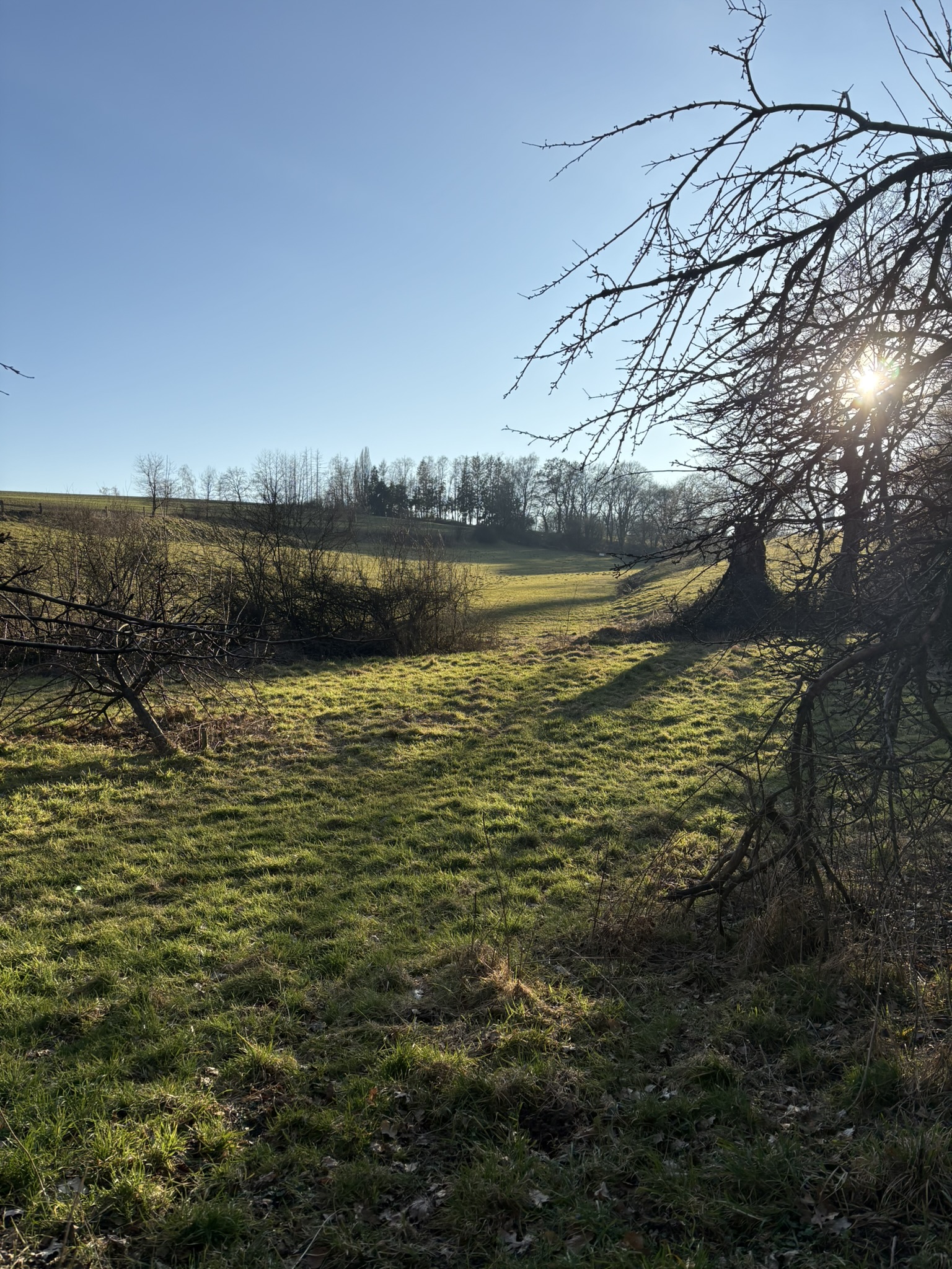 Winterlicht im Tal Nordrhein-Westfalen